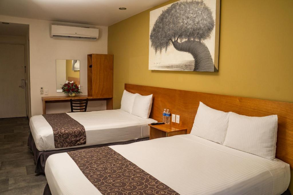 AM Hotel y Plaza AM Hotel y Plaza