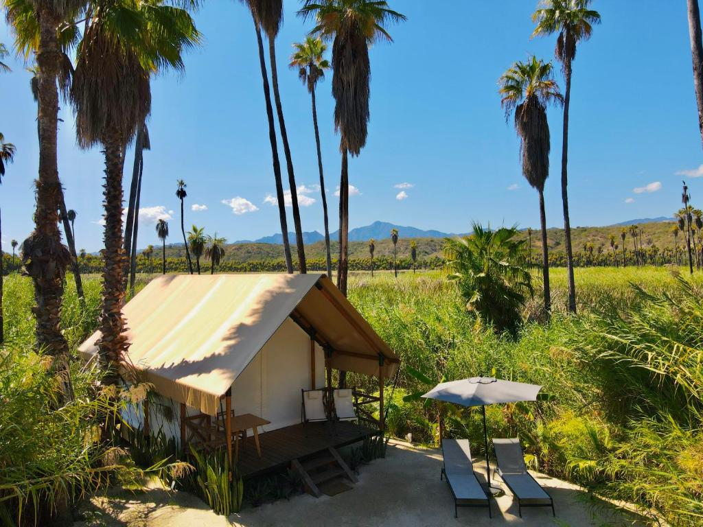 Amet Nature Retreat