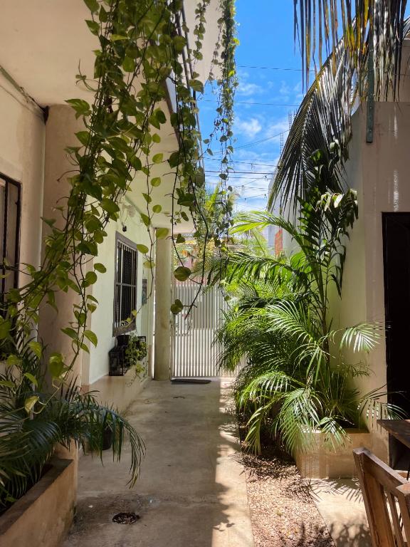 Anana Coliving
