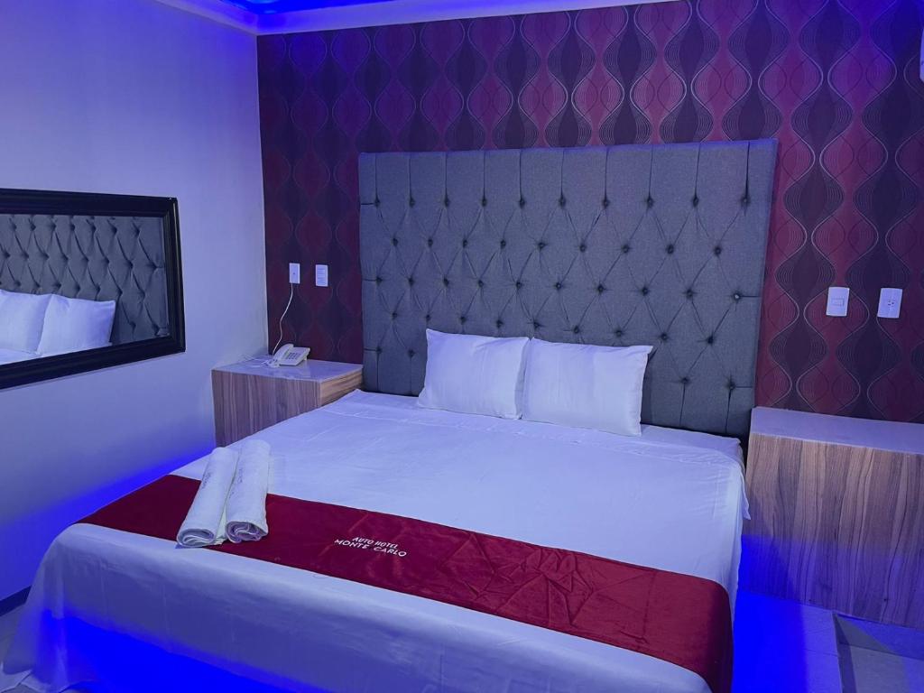 AUTO HOTEl MONTE CARLO
