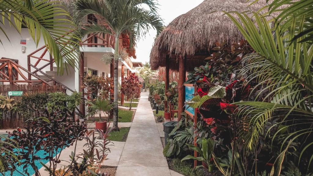 Azul 36 Hotel