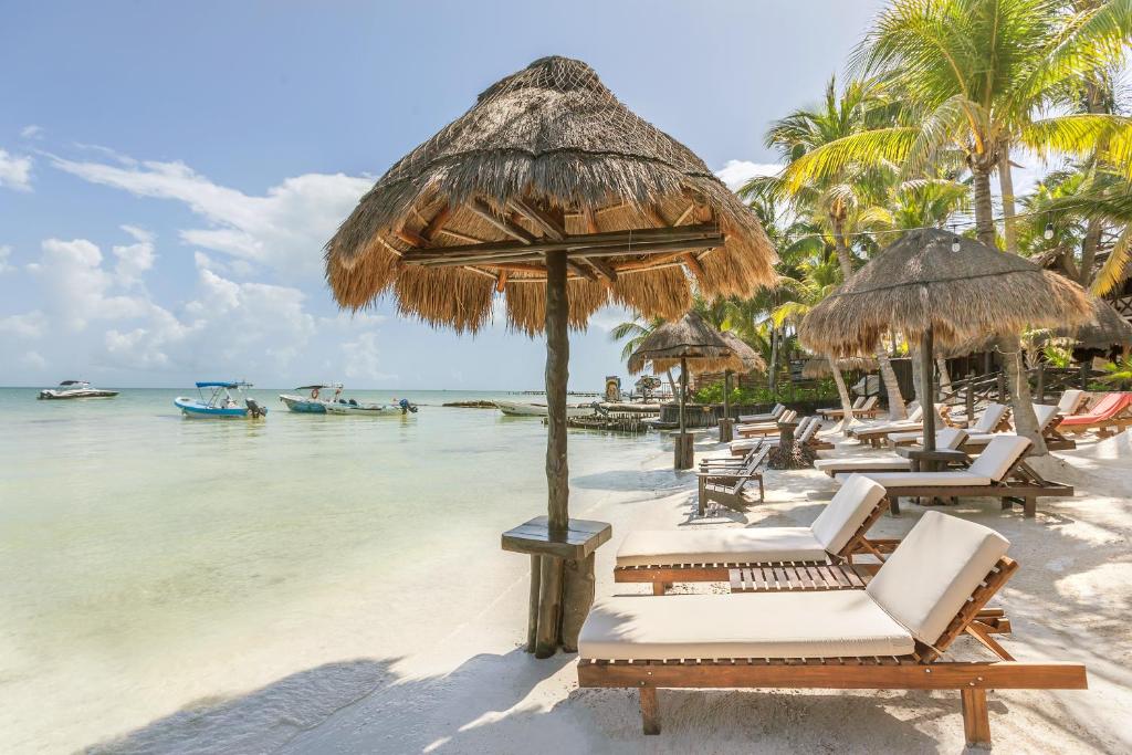 Beachfront Hotel La Palapa – Adults Only Beachfront Hotel La Palapa - Adults Only
