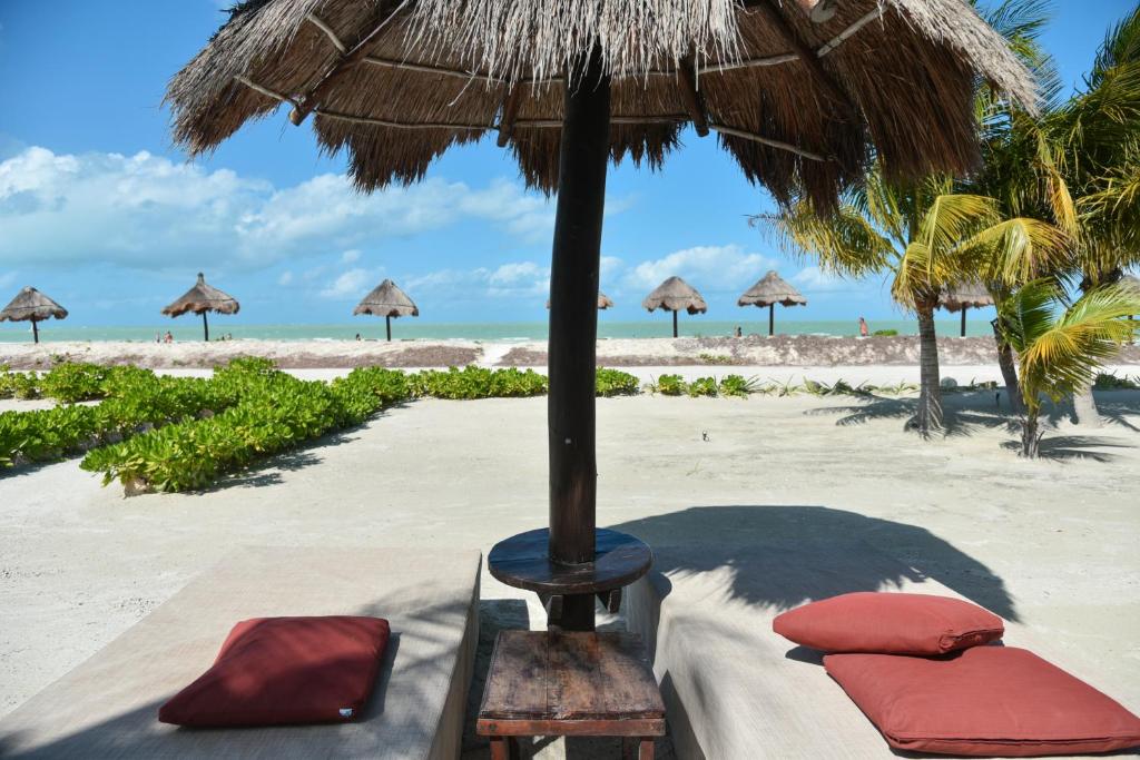 Blue Holbox Blue Holbox