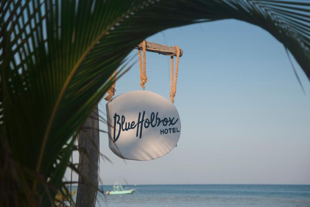 Blue Holbox Blue Holbox
