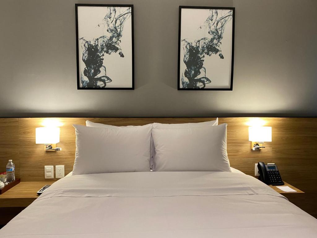 B's Suites Mérida