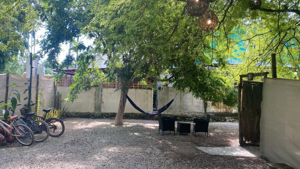 Bungalows Casa Arte y Selva - Free Bikes Kayyaks