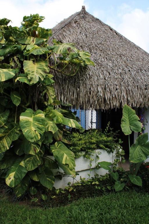 Bungalows Las Tortugas Bungalows Las Tortugas