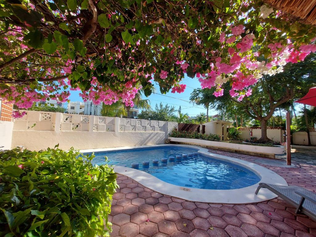 Cabañas Puerto Morelos