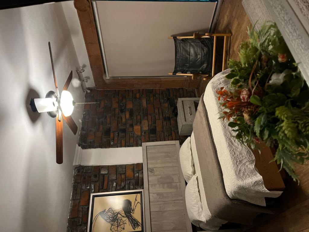 Casa Carmona 33