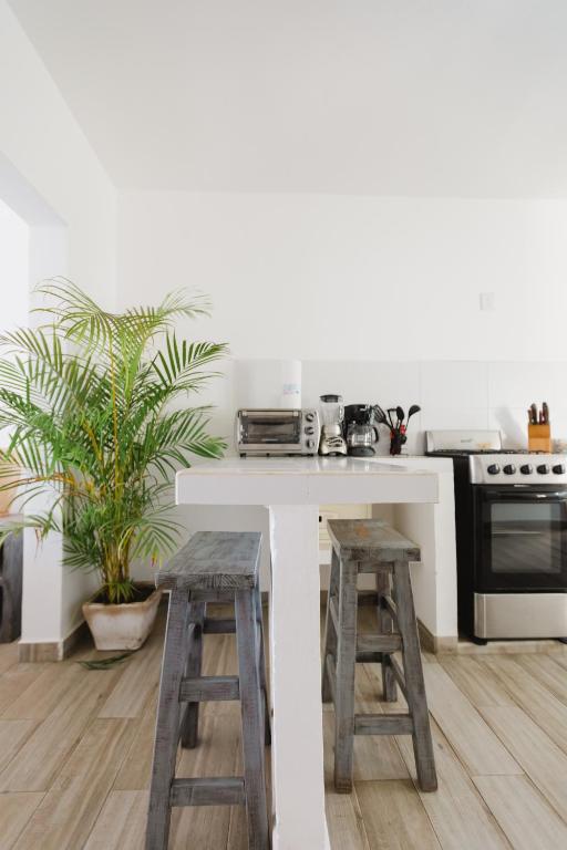 Casa Fenix