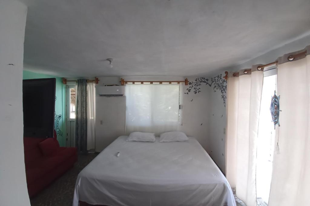 Casa isahmar 2 starlink