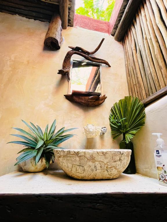 Casa Jade Ecobungalows Las coloradas