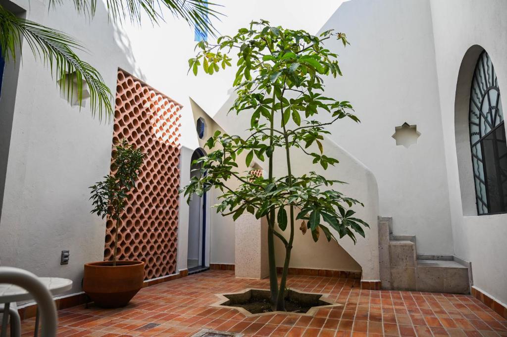Casa Kali by Barrio México Casa Kali by Barrio México