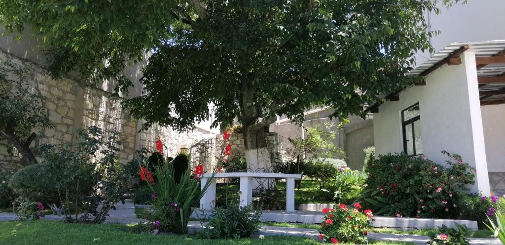 CASA LUPITA
