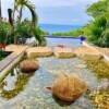 Casa Mazunte