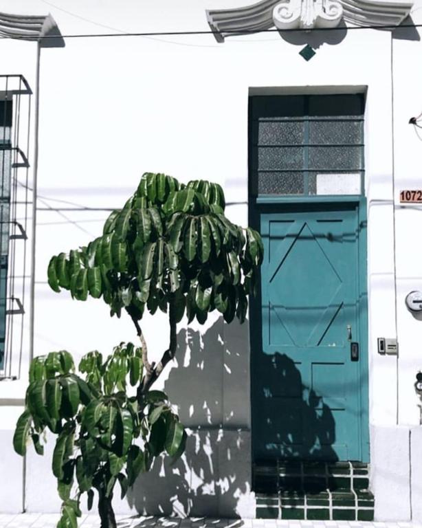Casa Morelos by Barrio Mexico