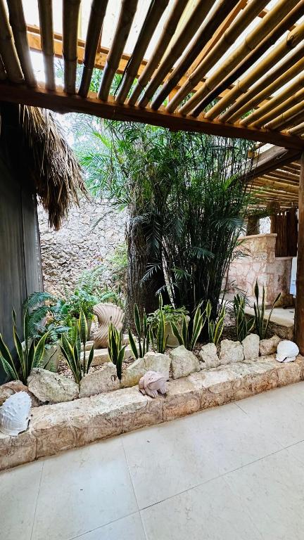 Casa Quetzal Hotel Casa Quetzal Hotel