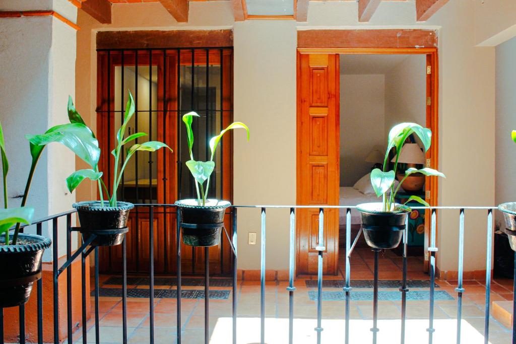 Casa Rosa Mexicano Casa Rosa Mexicano