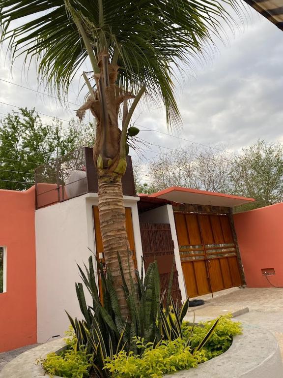 Casa Suites Minizoo Casa Suites Minizoo