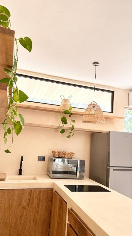 Cocay Lofts Tulum Welcome to the Jungle Cocay Lofts Tulum Welcome to the Jungle