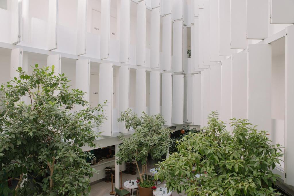 Condesa df, Mexico City, a Member of Design Hotels