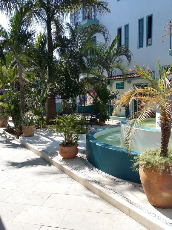 Delphinus Inn