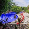DreamHaus Sayulita Pajaro de Fuego
