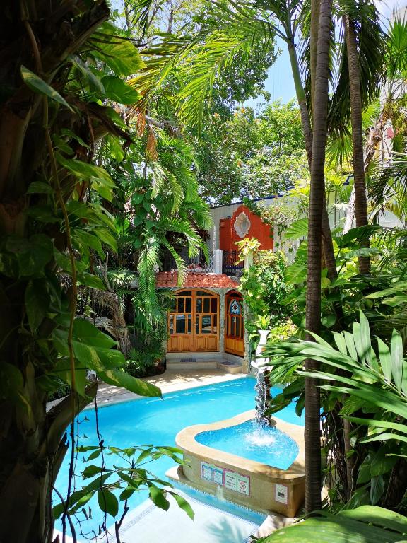 Eco-hotel El Rey del Caribe Eco-hotel El Rey del Caribe