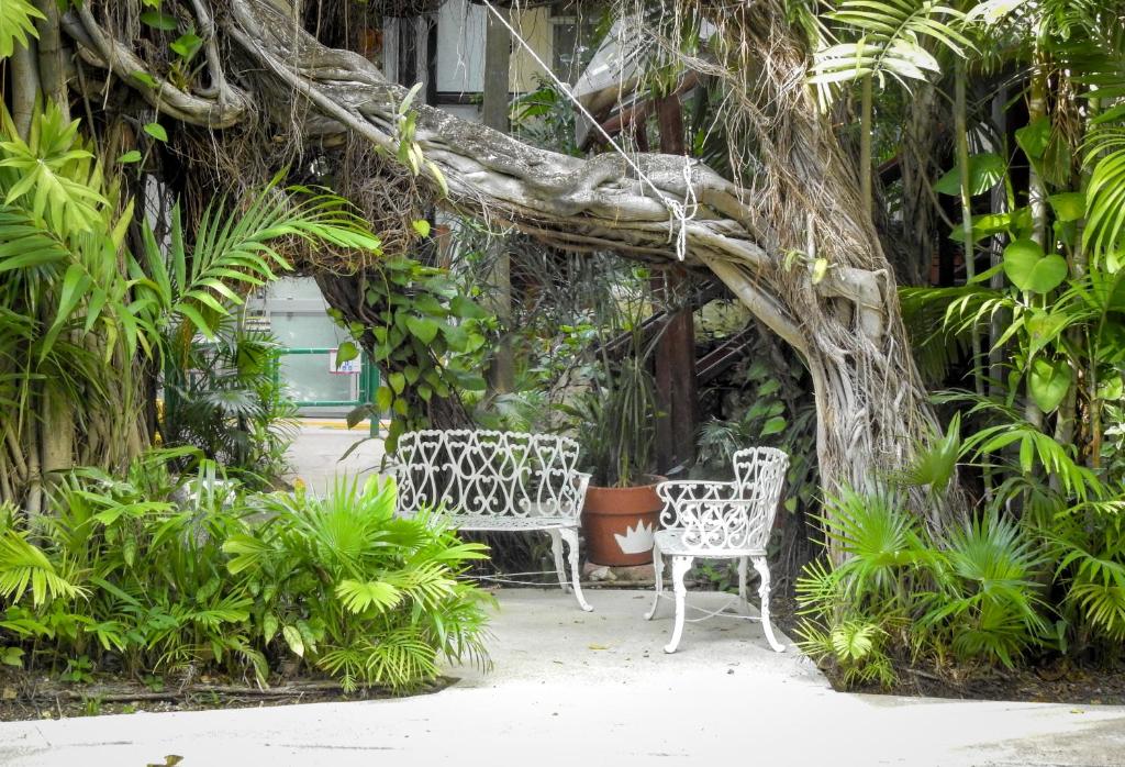 Eco-hotel El Rey del Caribe Eco-hotel El Rey del Caribe