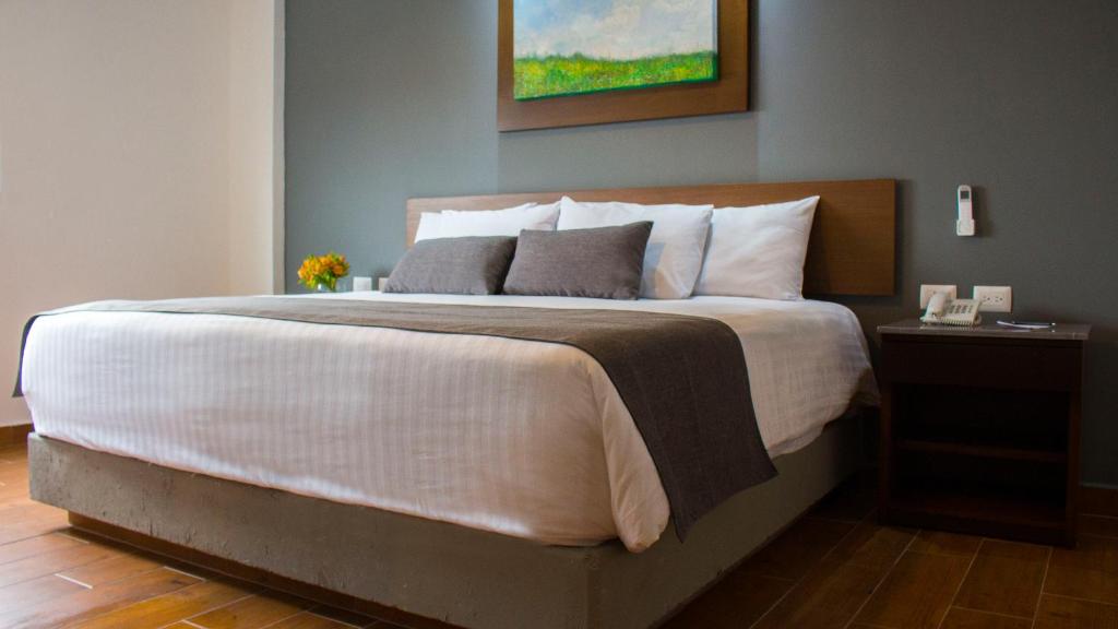 Eco Hotel Guadalajara Expo