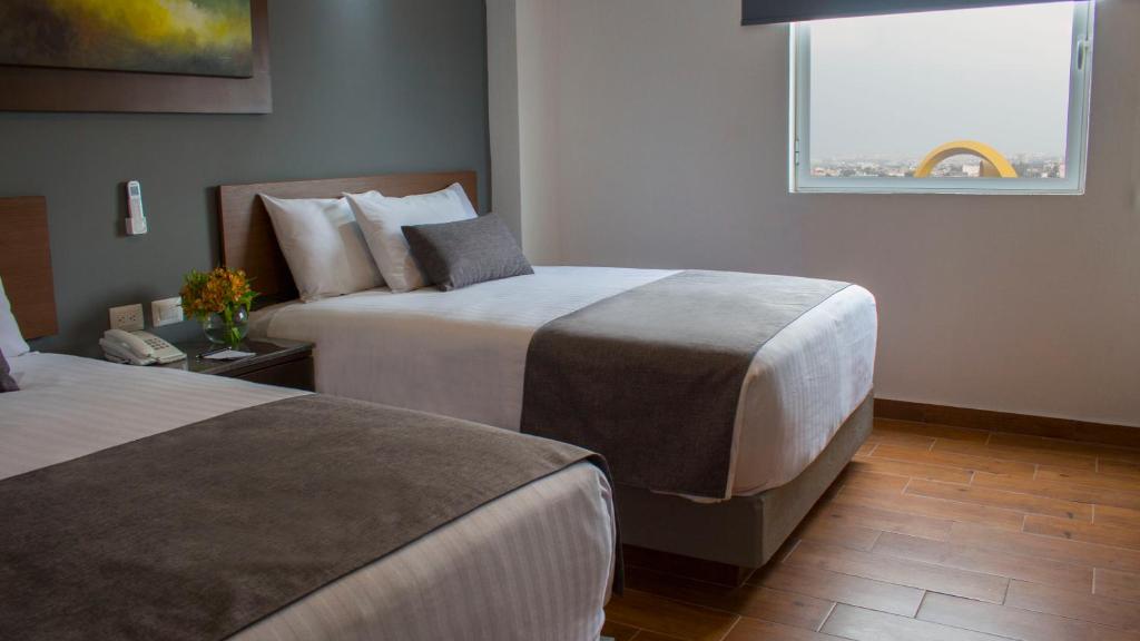Eco Hotel Guadalajara Expo