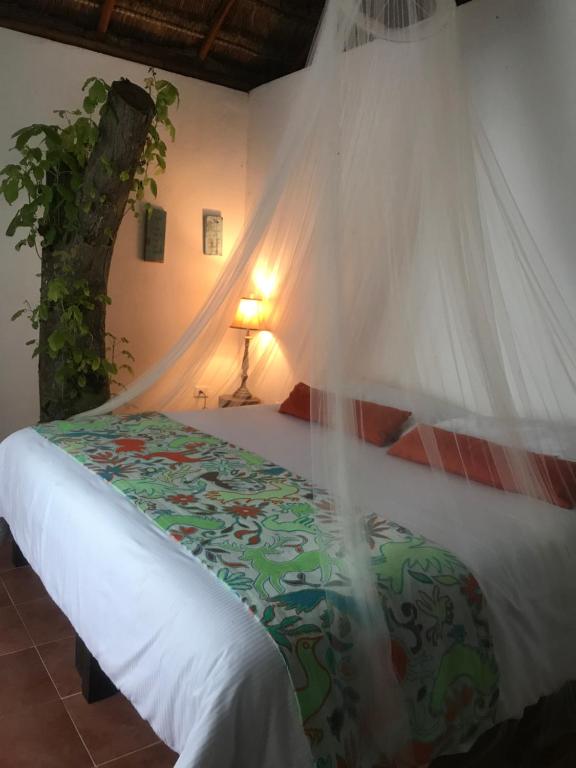 Ecovergel Hotel Riviera Maya