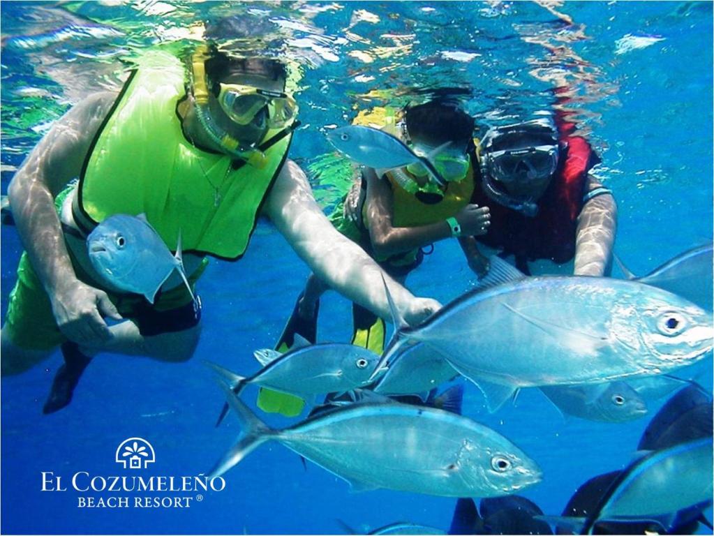 El Cozumeleño Beach Resort – All Inclusive El Cozumeleño Beach Resort - All Inclusive
