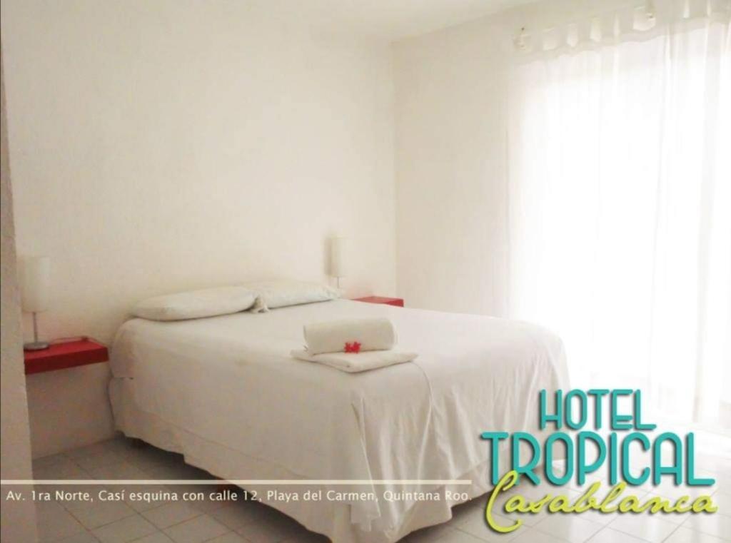 El tropical playa del carmen