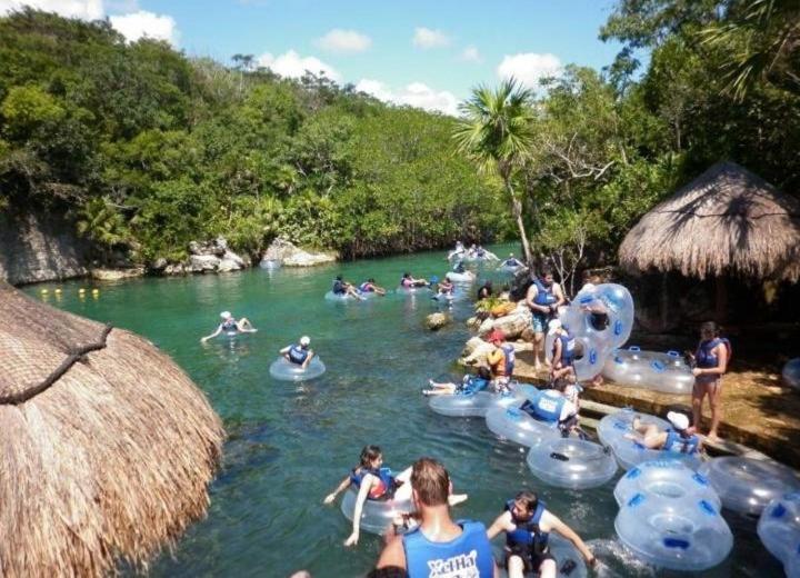 Estudio con cenotes en la 5ta avenida a pasos de la playa