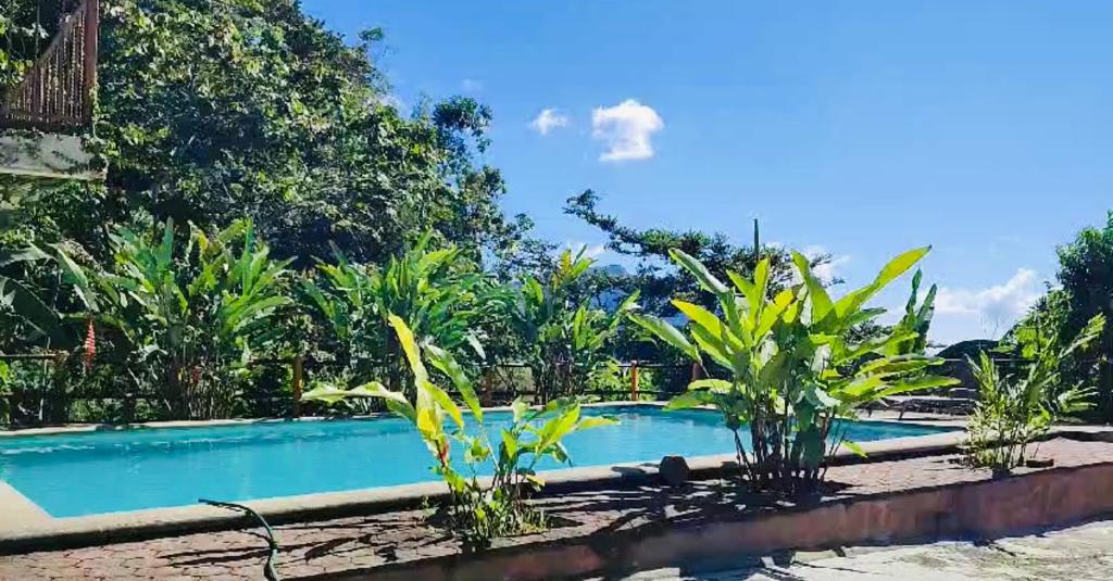 Finca San Antonio