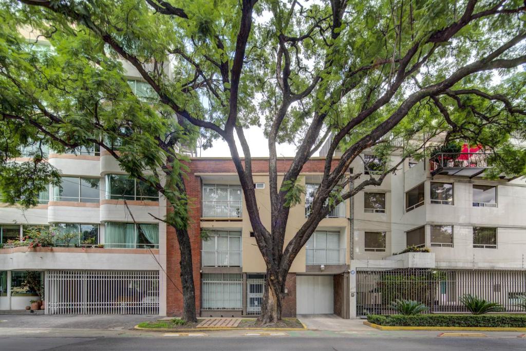 Grupo Kings Suites – Horacio 1525 Grupo Kings Suites - Horacio 1525