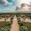 Hábimo - Valle de Guadalupe