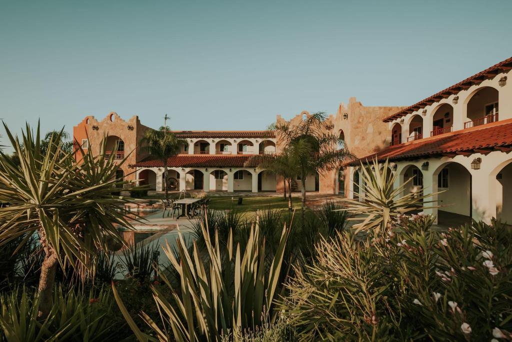 Hacienda Los Olivos, Valle de Guadalupe Hacienda Los Olivos, Valle de Guadalupe