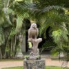 Hacienda Mi Soledad