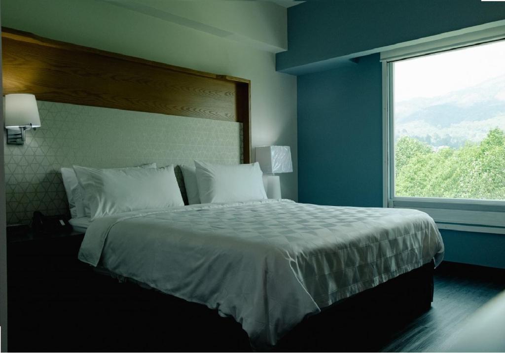 Holiday Inn Uruapan, an IHG Hotel Holiday Inn Uruapan, an IHG Hotel
