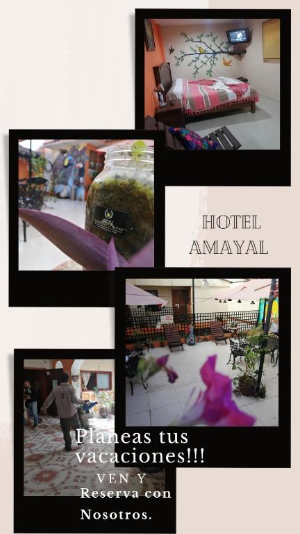 Hotel Amayal Hotel Amayal