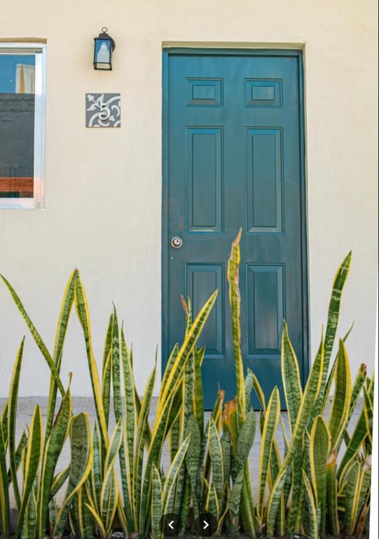Hotel ARCADIO