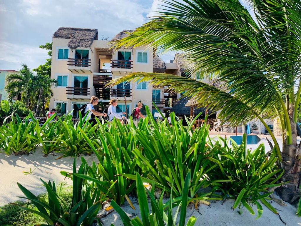 Hotel Arenas Mahahual