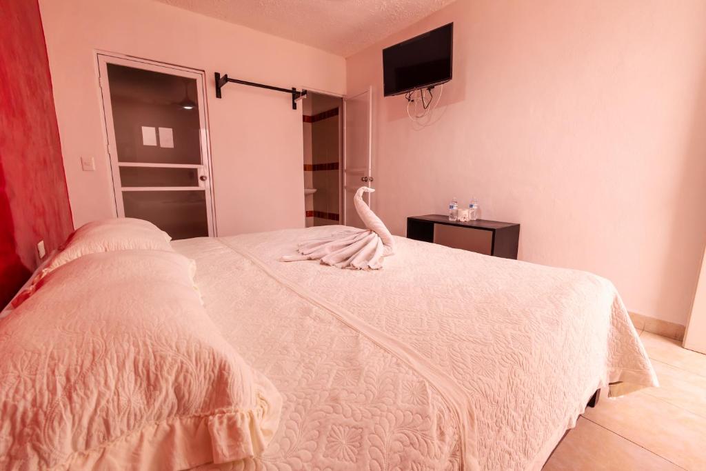 Hotel Bello Caribe Express Hotel Bello Caribe Express