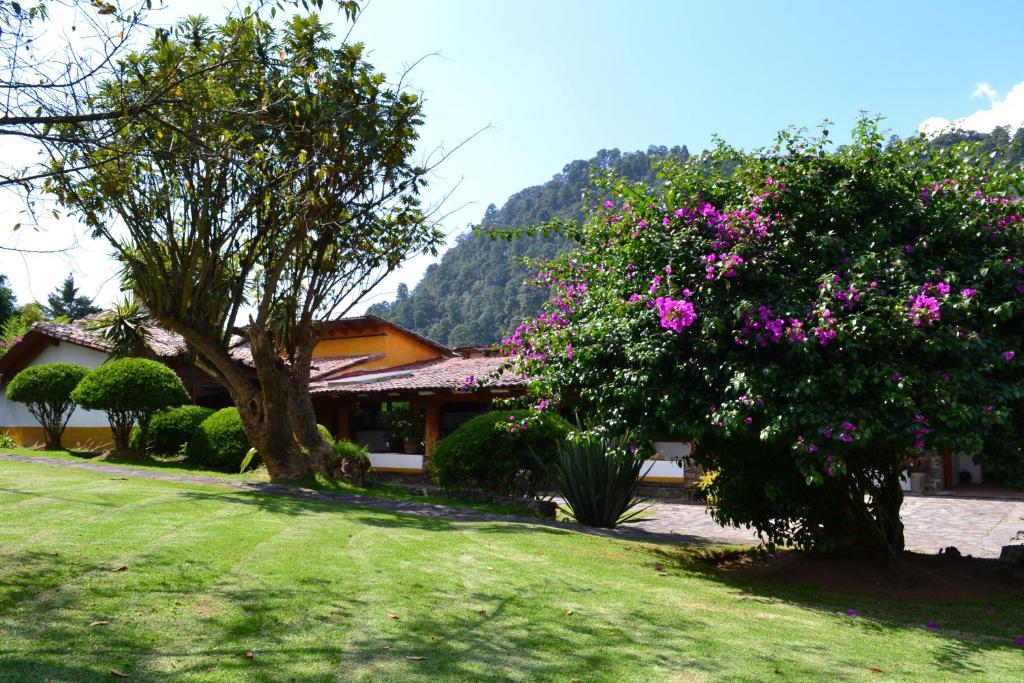 Hotel Boutique El Campirano Hotel Boutique El Campirano