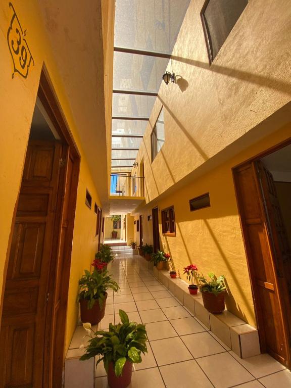HOTEL CAMELINAS AREA BLANCA
