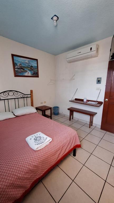 HOTEL CARMELITAS 42