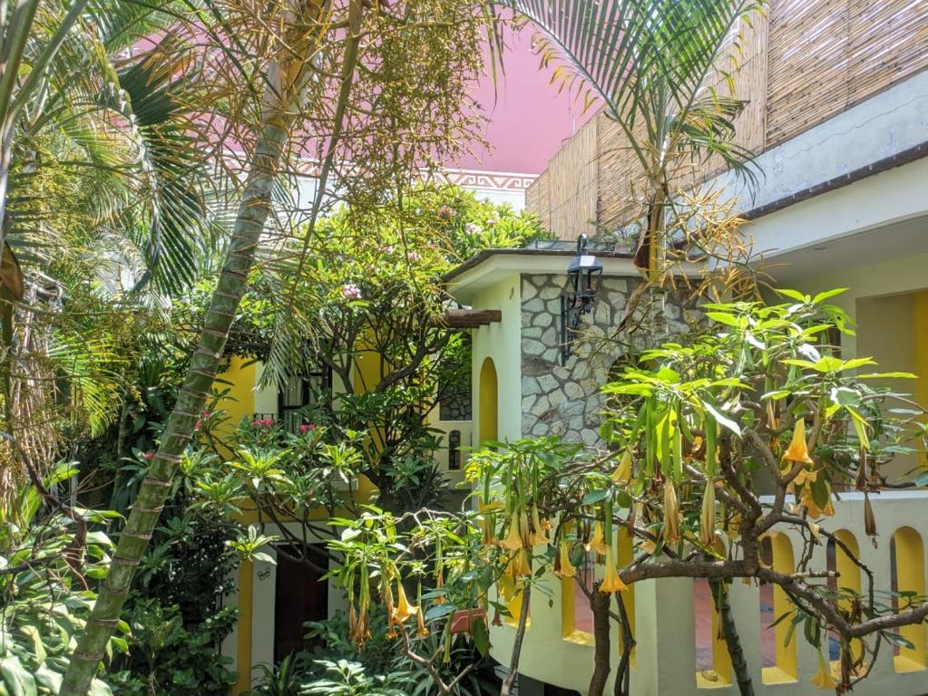 Hotel Casa Arnel Hotel Casa Arnel