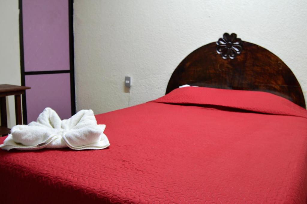 Hotel Casa Genesis Hotel Casa Genesis
